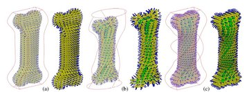 Conformal microstructure